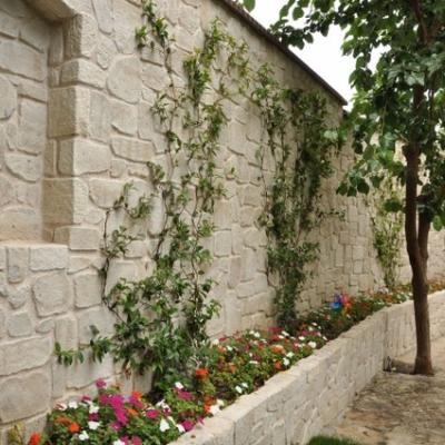 Ev Dekorasyon Ev Dekorasyon