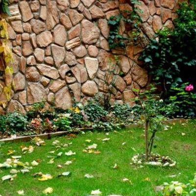 Bahçe Dekorasyon Bahçe Dekorasyon