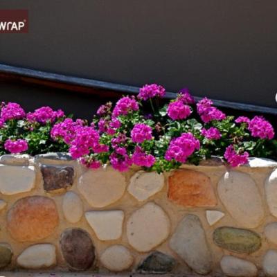 Bahçe Dekorasyon Bahçe Dekorasyon