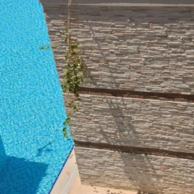 En Güzel Ev Dekorasyonları En Güzel Ev Dekorasyonları