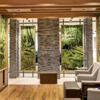 Kültür Taşı Kültür Taşı